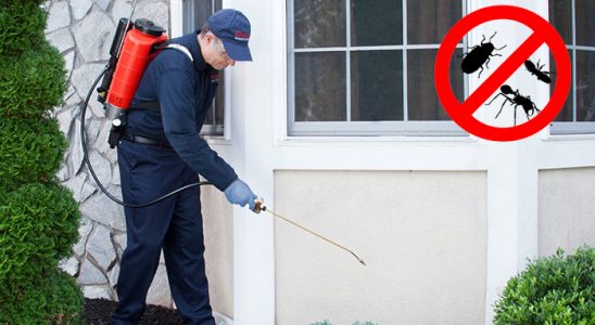 Bağlar Kene İlaçlama böcek ilaçlama ve haşere kontrolü — ilaclama-tr.com